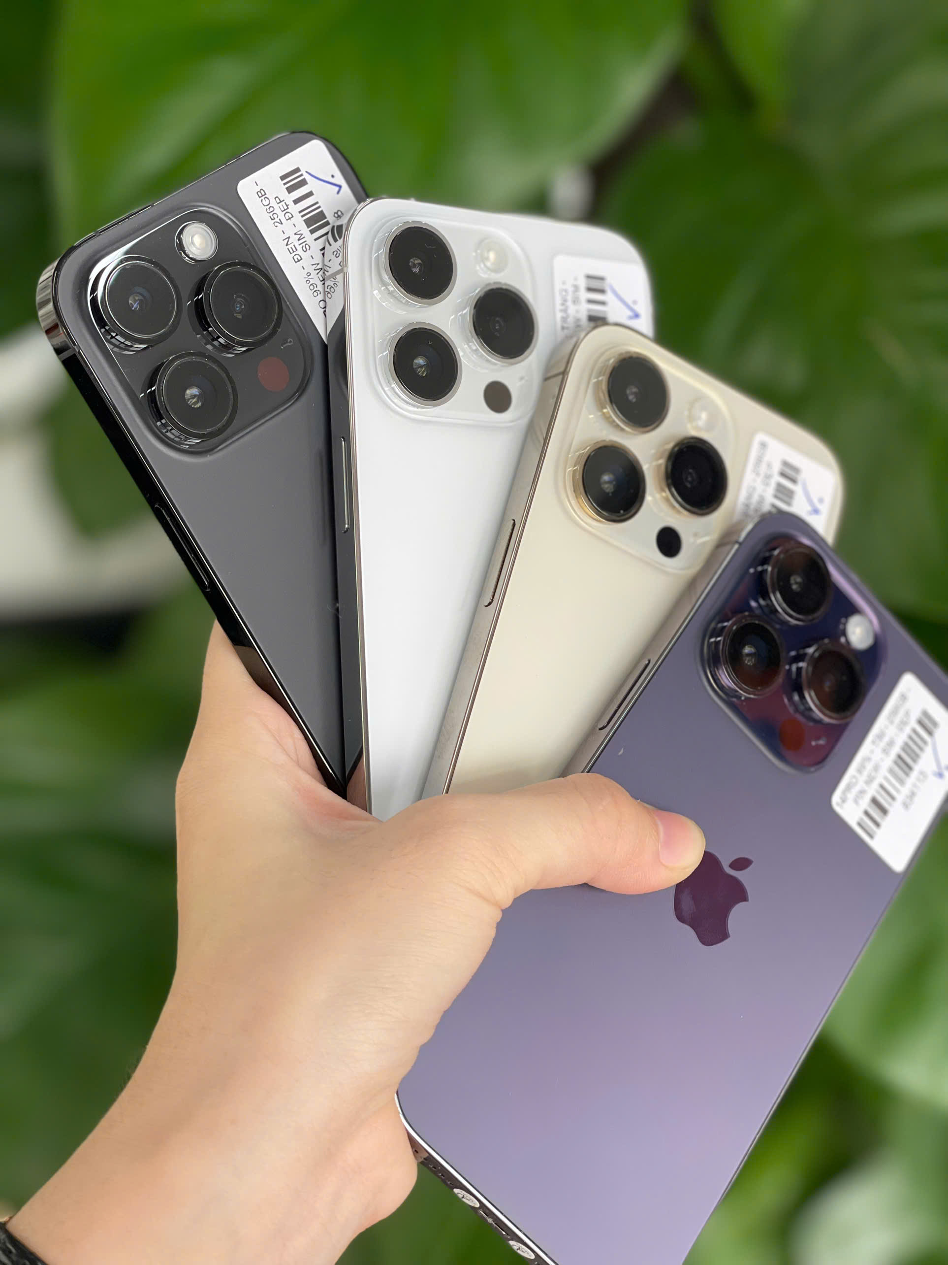 Kiểm Tra iPhone 99 Thế Nào Cho Chuẩn? Hướng Dẫn Chi Tiết Từ A-Z
