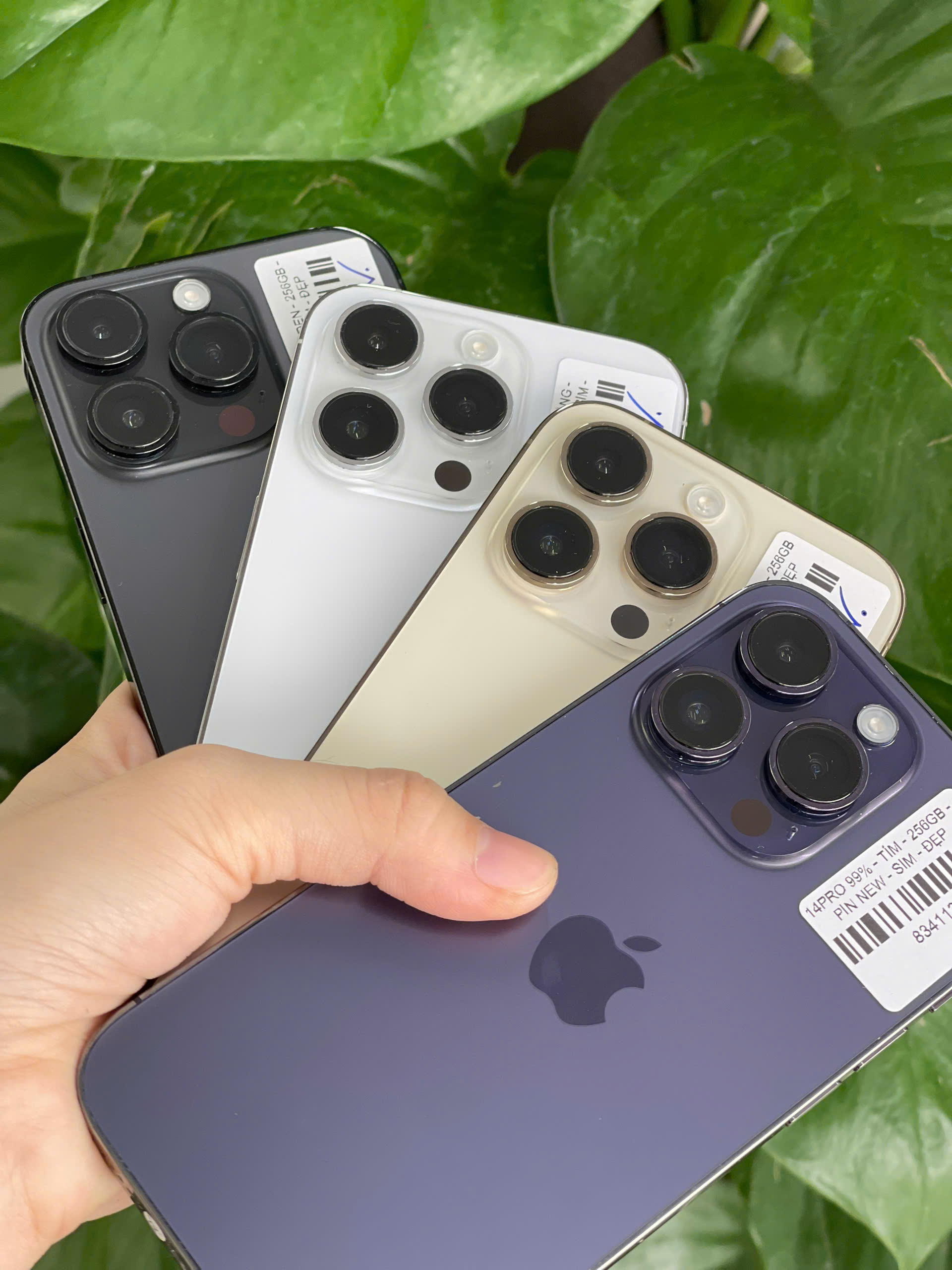 Vậy iPhone 99 Giá Rẻ Có Đáng Mua Trong Năm Nay (Kết Luận & Lời Khuyên)