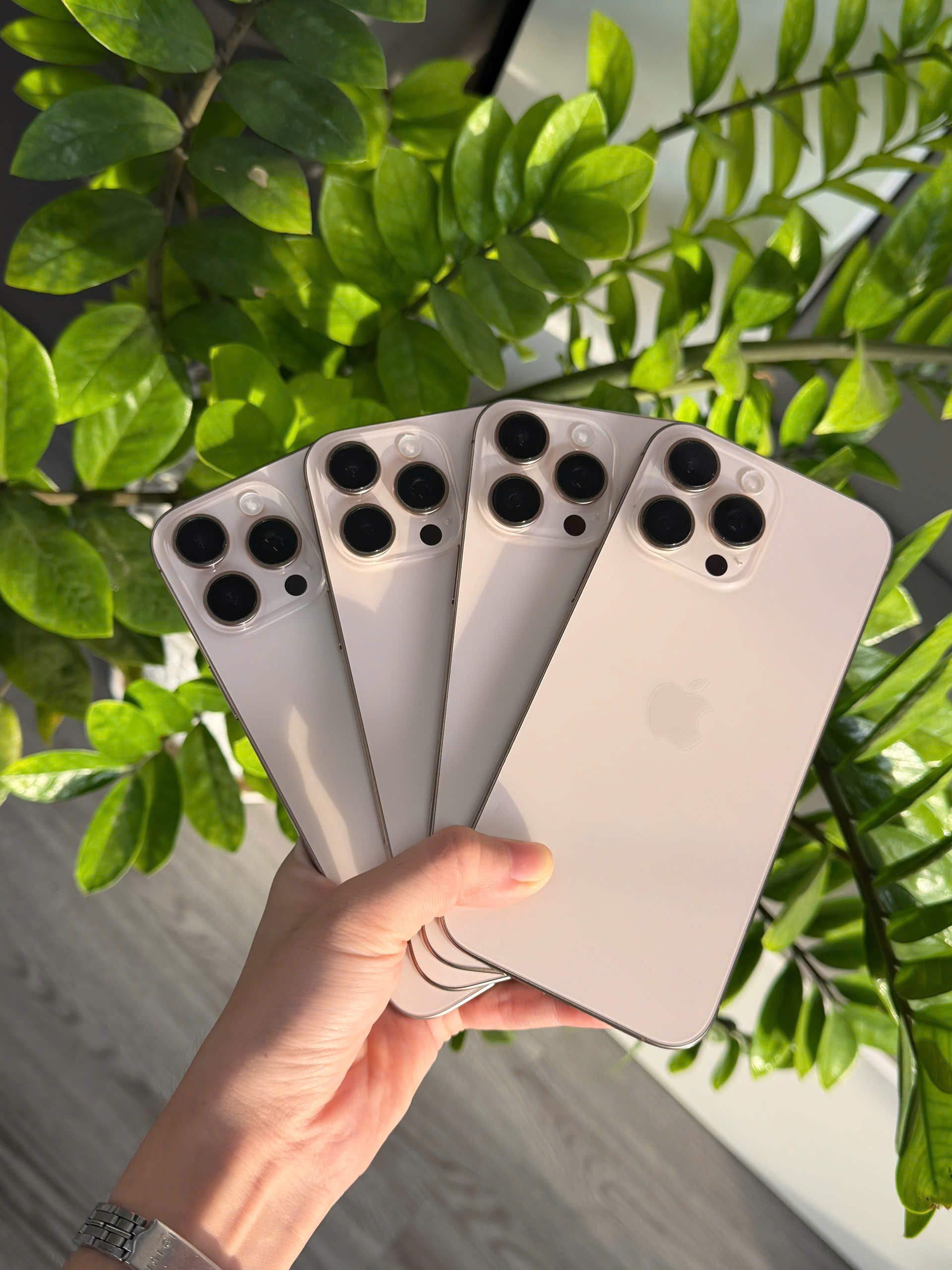 iPhone 15 Series – Đỉnh cao công nghệ, trải nghiệm hoàn hảo