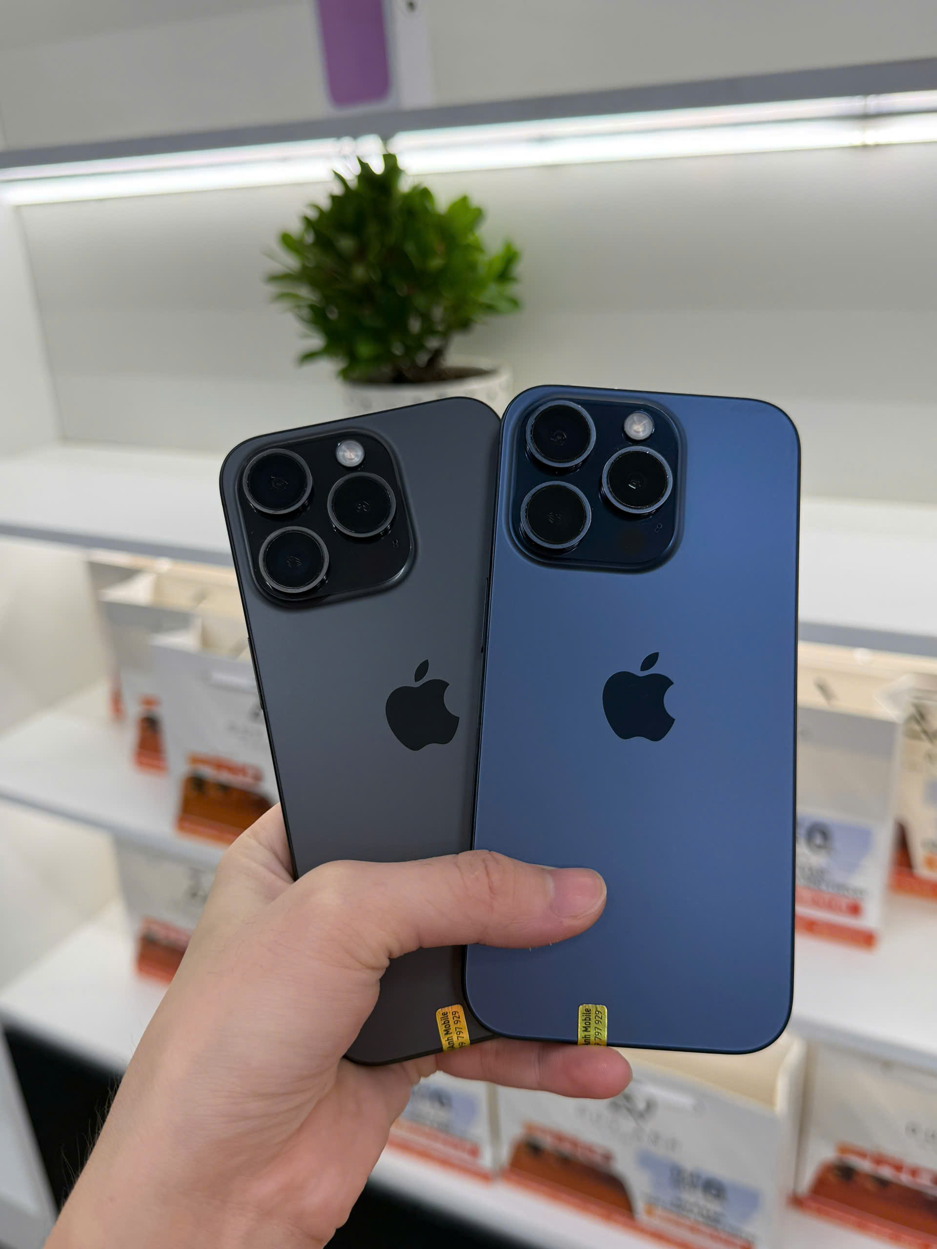 Mua iPhone cũ cần kiểm tra những gì?