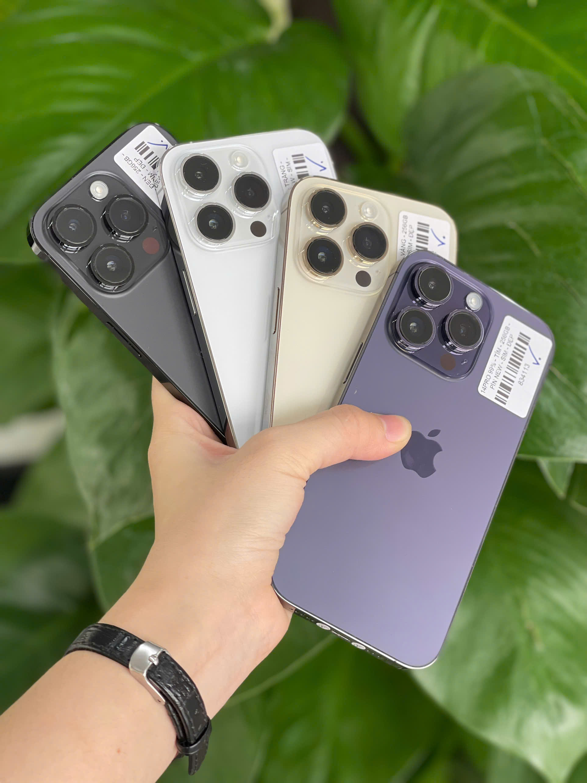 iPhone 99% giá tốt Bình Phước nên mua ở đâu?